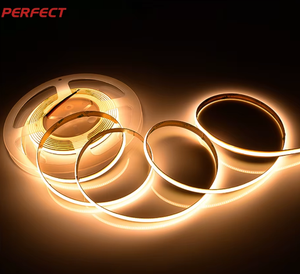 Cinta LED COB Flexible de Grado de Ingeniería, RGB de Alta Densidad, con Wi-Fi, Clasificación IP20, para Iluminación de Paisajes, 24V CC, Sin Costuras - Product Image 1