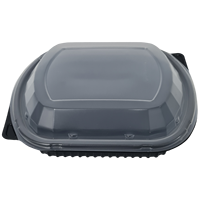 Conteneurs de stockage à froid en PP durables et écologiques pour viande, poisson, volaille, différentes tailles, épaisseur 5 mm, emballage alimentaire sûr Divan