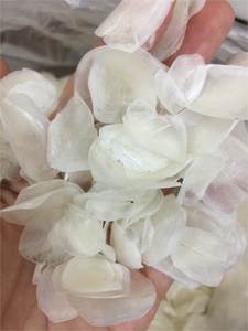 ÉCHELLE DE PERCHE DE SUPER QUALITÉ DU FABRICANT VIETNAMIEN en 2025 - Product Image 5