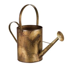 Regadera plana de Metal, para plantas de interior y exterior diseño elegante, flores, regar, casa, jardín, gran cantidad, venta al por mayor - Product Image 5