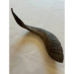 Cuerno de búfalo Cuernos para beber Cuerno para beber vikingo natural con soporte de Cuero al costo más bajo - Product Image 2