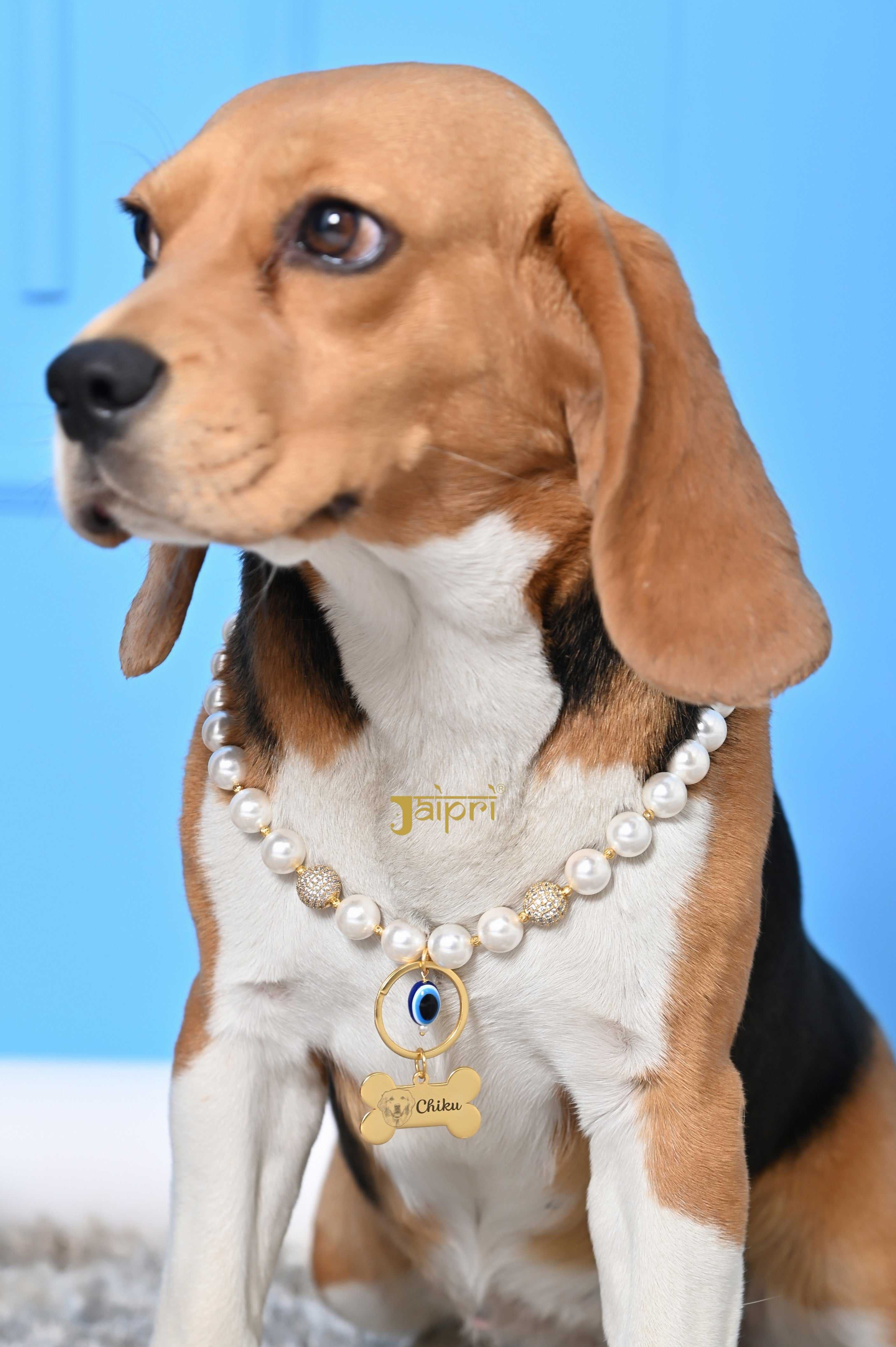 เช่นเดียวกับในภาพ