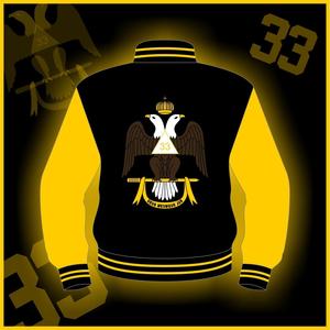 Chaqueta DELTA SIGMA, Chaqueta Universitaria, Mangas Amarillas - Product Image 2