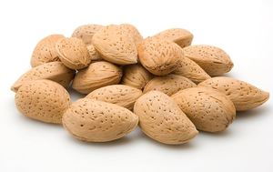 Almendras Premium de California con Cáscara |   Almendras Crudas Naturales |   Venta al por Mayor de Productos de Calidad para Exportación - Product Image 3