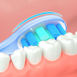 Electrical <b>Tooth</b> <b>Brush</b> Factory Price Oem Electric Toothbrush <b>Head</b> Oral <b>Brush</b> <b>Heads</b> Rotating Toothbrush <b>Head</b> - Product Image 3