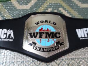 Cinturones de campeonato de boxeo Trofeos Medallas y premios el símbolo definitivo de la victoria y la excelencia Cinturones de Campeonato - Product Image 6