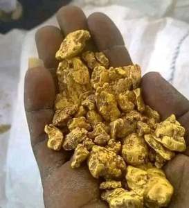 Polvo de Aurum Natural para Especímenes de Núcleos, Sin Refinar, para Colección e Investigación - Product Image 1