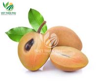 Viet Thien Phu Bestseller Iqf Bevroren Sapodilla/Hoogwaardig Standaardfruit Uit Vietnam