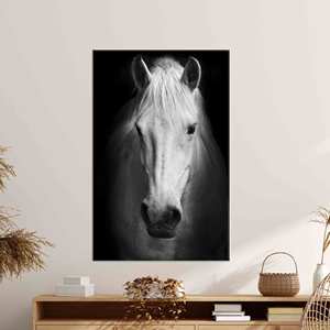 ภาพพิมพ์บนผ้าใบสำหรับตกแต่งผนัง: ของขวัญสำหรับคนรักสัตว์ - ดีไซน์สัตว์ป่าที่สวยงาม พร้อมกรอบสำหรับแขวน - Product Image 1