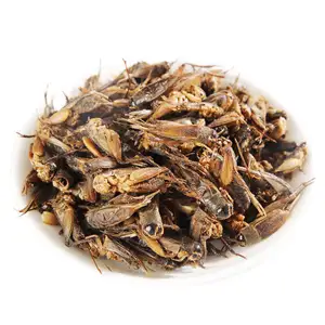 Wholesale Eco-friendly Freeze-dried Crickets Pet Food Small Animal Birds Reptiles Dried Cricket Pet Snack Food