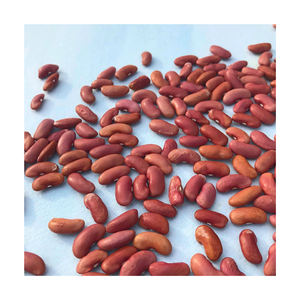 Wholesale Top Grade Red kidney <b>Beans</b> For Sale In Cheap Rate Dark Red Kidney <b>Beans</b> Long Shape Kidney <b>Beans</b> - Product Image 6