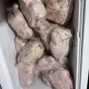 Poulet halal congelé aux prix d'usine et de qualité supérieure - Product Image 1