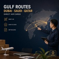 Transport aérien porte-à-porte DDP vers Dubaï, Arabie Saoudite, Qatar - Agent logistique de fret de Chine