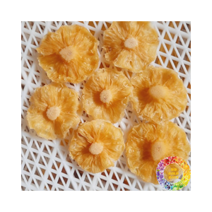 Ananas séché doux à mâcher de qualité supérieure avec une saveur sucrée, traité, emballé en vrac ou dans un emballage de vente au détail personnalisé - Product Image 6