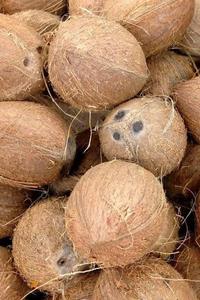 Cocos semidescascarados recién cosechados de Vietnam, venta al por mayor, Coco antiguo, producto agrícola natural de calidad superior - Product Image 3