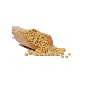 Guisantes de soja orgánicos crudos enteros Chick Peas Kabuli Guisantes egipcios secos a granel - Product Image 3