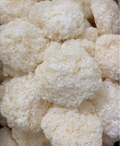 Ingrédient de Tremella blanche déshydratée de qualité supérieure pour la production de soupes et desserts, origine Vietnam - Product Image 1