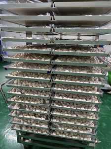 Chips de mangoustan lyophilisées, sucrées et croquantes, pour collation ou dessert, étiquette personnalisée, 50g 100g, sachet refermable, mangoustan sec du Vietnam - Product Image 5