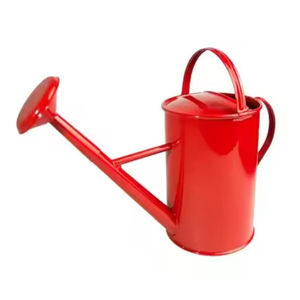 <b>Prime</b> Quality Galvanized Flower Watering Can Admirable Design Customized Size Water Can for Hot Selling Garden Ware Water Can - Product Image 2