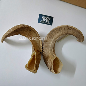 Auténtico Par de Cuernos de Carnero para Decoración de Pared, Decoración Rústica de Caza, Cuerno Natural SMARK EXPORTS SE-1410 para Decoración del Hogar - Product Image 4