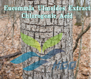 HGO Suministro directo de fábrica de Pure Natura Food Grade Eucommia Ulmoides Extracto 25% Ácido clorogénico Polvo de hierbas - Product Image 2