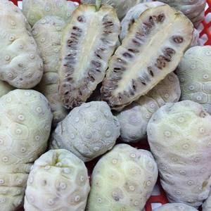 ผลไม้โนนีแช่แข็งยอดนิยม (ตัดครึ่ง/ทั้ง) ราคาถูกในเวียดนาม | ส่งออกทั่วโลก - Product Image 2