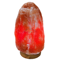 Lampe de sel de l'Himalaya rose rougeâtre naturelle sculptée à la main avec base en bois écologique certifiée ISO/CE, style Amour, vente en gros OEM/ODM