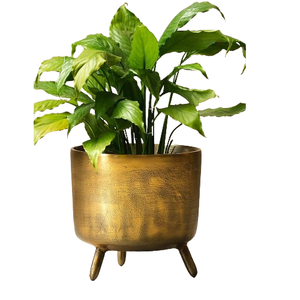 Maceta de flores de color bronce con soporte de metal y color y tamaño personalizados para centros comerciales de hoteles domésticos 17x17x17 pulgadas - Product Image 6