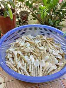 พรีเมี่ยมแต่ราคาไม่แพง: เวียดนามคุณภาพสูงแฮนด์เมดแม่ของหอยมุกคาเวียร์หอยเชลล์ช้อนเปลือกหอย - Product Image 3