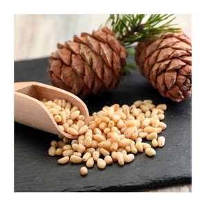 Fournisseur de pignons de pin de qualité supérieure, noyaux de pignons de pin, prix réduit - Product Image 1