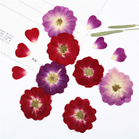 Roses séchées pressées et mini-fleurs de rose, pour la fabrication de bijoux en résine époxy DIY, ornements floraux séchés, cadeaux artisanaux pour les fêtes