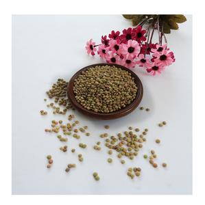 Lentilles vertes canadiennes entières de qualité supérieure Lentilles vertes biologiques sèches à vendre au prix de gros le moins cher - Product Image 4