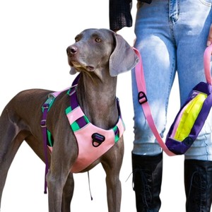 Adjustable Nylon <b>Dog</b> <b>Harness</b> with Buckle Closure for <b>Medium</b> <b>Dogs</b> in Purple Pink Green Colors - Product Image 3
