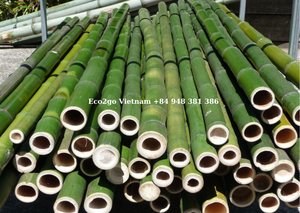 ¡Vendedor caliente 2025! Postes de bambú para jardín/Postes de bambú decorativos con alta calidad y buen precio Hecho en Vietnam - Product Image 3