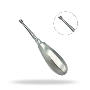 Élévateur dentaire chirurgical à pointe d'aile de 6,85 mm, petit modèle 503, pour extraction dentaire et élévation radiculaire - Product Image 1