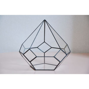 Décoration d'intérieur, terrarium en verre géométrique, pot de plante, cadre en métal noir, planteur décoratif en cristal, présentoir pour succulentes, cactus - Product Image 1