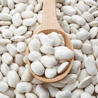 Haricots de Lima blancs de haute qualité de qualité supérieure pour cuisiner et manger