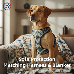 OKKPETS تتجه مخصص الكلب طوق طوق حقيبة المشي الحيوانات الأليفة بطانية يرمي جرو بطانية مطابقة مجموعة - Product Image 3