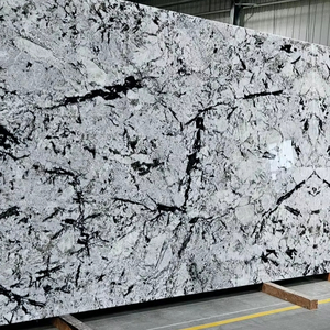 Losa de piedra Natural pulida blanca ártica india de lujo, respetuosa con el medio ambiente, duradera, más de 5 años de garantía, Panel de pared sándwich moderno para Cocina - Product Image 1