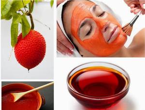 Ms Hana-Gac de polvo de color Natural, en Vietnam, con paquete de vacío - Product Image 5