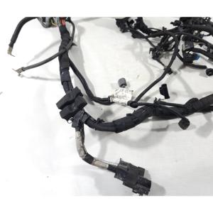 CABLEADO ELÉCTRICO DEL MOTOR FORD Fiesta 6ª Serie Restyling C1BT-12A522-SFB P4JA Gasolina 1000 (13>) - Product Image 4