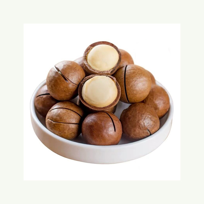 Raw Organic Bulk Nuts Macadamia Nuts Wholesales Roasted Macca Macadamia Nuts & Kernels