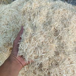 Matière première séchée d'expédition rapide de fibre de bagasse de canne à sucre pour l'alimentation des animaux 36 mois de durée de conservation - Product Image 1