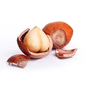 Fast Delivery on Premium Roasted Salted <b>Hazelnut</b> Nut Great for Retailers Looking for Healthy and Savory Snack Solutions - Product Image 6