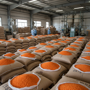 Lentejas Rojas Secas Empaquetadas para Exportación a Granel, Alto Valor Nutricional para Industrias de Procesamiento de Alimentos - Product Image 1