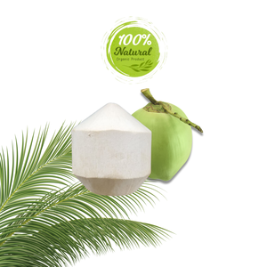 ผลิตภัณฑ์ทางการเกษตรมะพร้าวปอกเปลือกเพชรเป็นทางเลือกที่ยั่งยืนและเป็นประโยชน์ต่อสิ่งแวดล้อม - Product Image 2