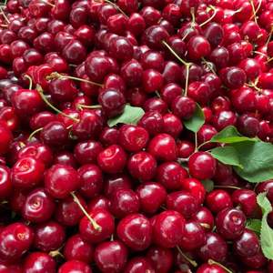 High Quality Premium Grade AA <b>Red</b> Cherries | Firm Texture & High Brix (18\%+) | 2026 Fresh <b>Harvest</b> Export - Product Image 2