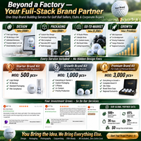 Balles de golf Surlyn 2 pièces personnalisées avec logo, faible rotation du driver, contrôle élevé sur le green, logo OEM pour tournois et entraînements