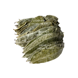 ถุงชา Graviola Soursop จากธรรมชาติการส่งเสริมสุขภาพใบชาแบบไม่ทอ - Product Image 6