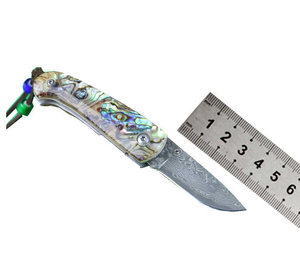 Cuchillo de cocina de hoja fija de acero de Damasco de grado Industrial Premium profesional mango de madera herramienta de corte al aire libre de 12 pulgadas Pakistán - Product Image 2